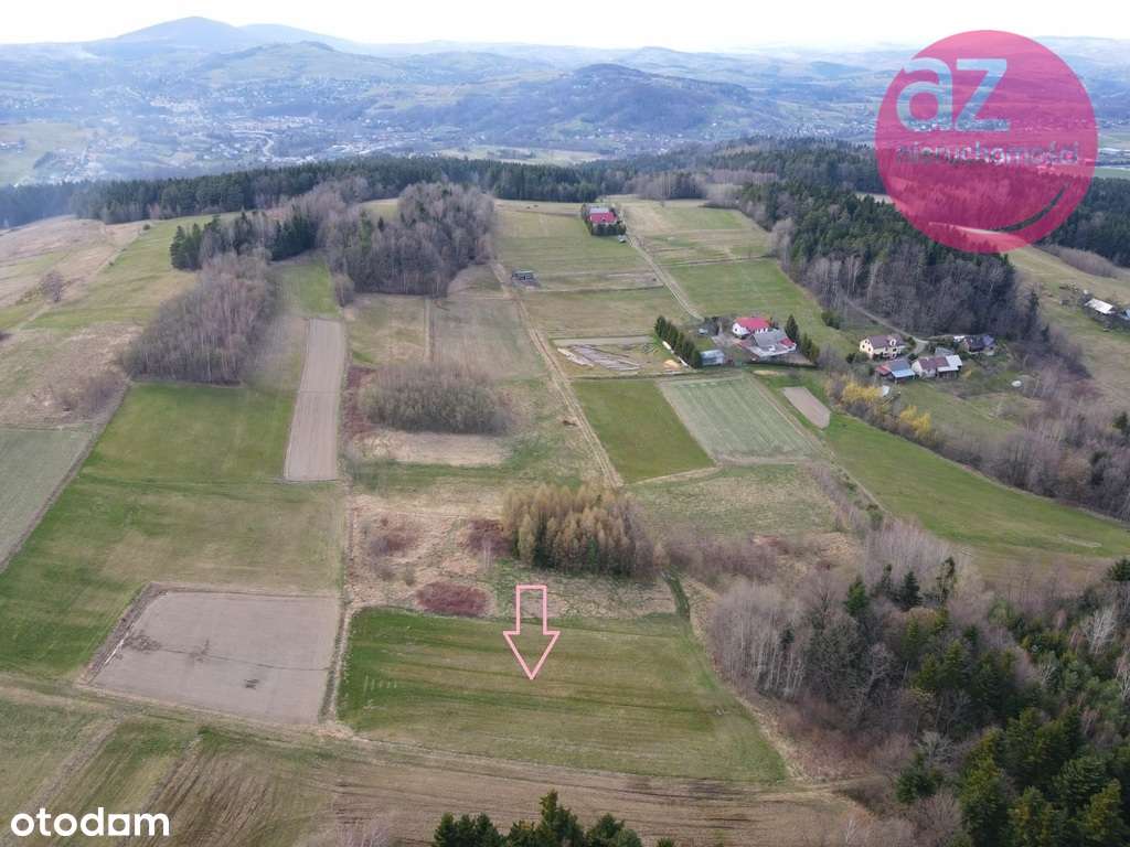 Działka rolna 36ar z możliwością przekształcenia - Pełny obrazek: 4/7