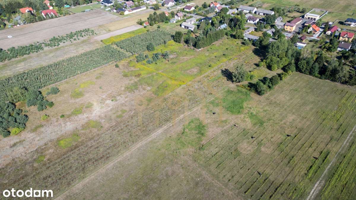 Działka budowlana/Czarny Las/ Góra Kalwaria/MPZP - Pełny obrazek: 5/6
