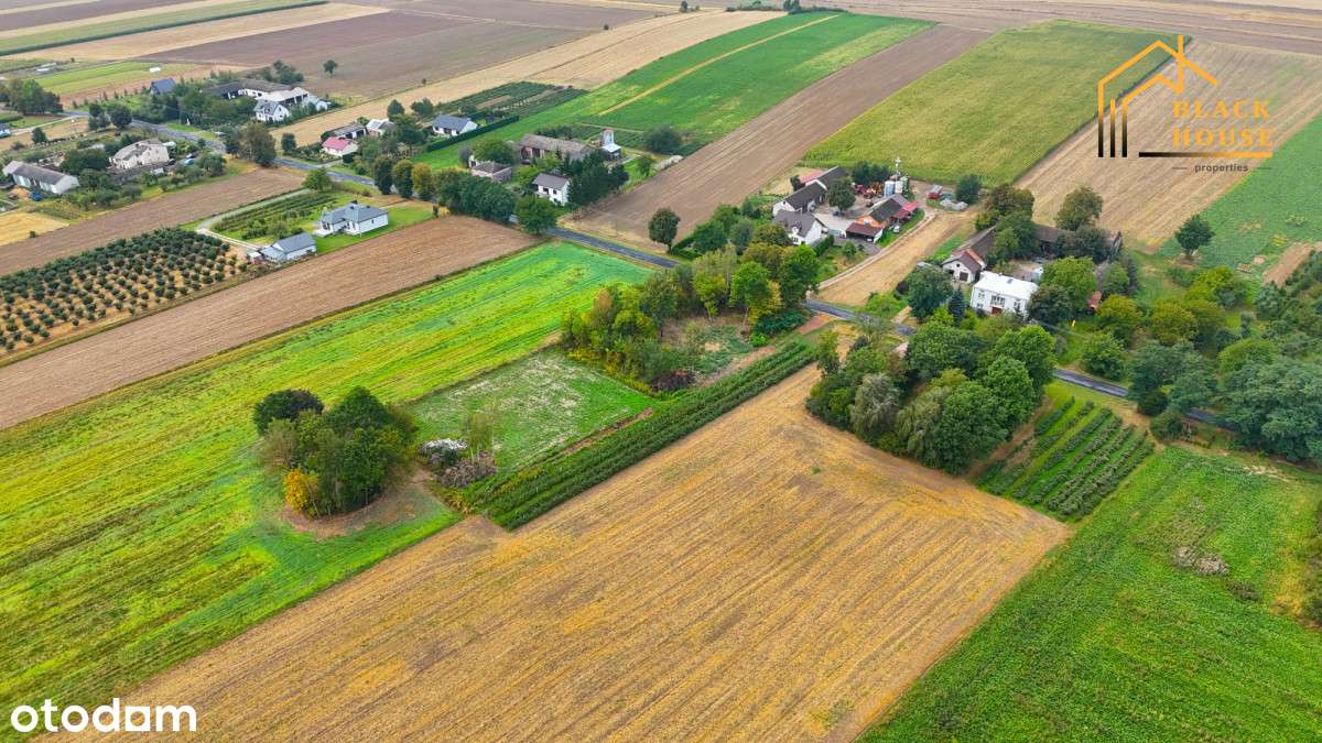 Działka budowlana z potencjałem- Kolonia Wola Duża - Pełny obrazek: 4/9
