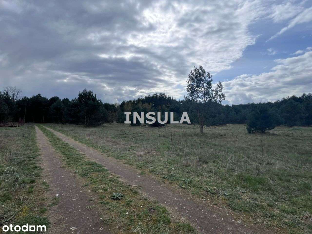 Działka w pobliżu lasów - Czeszów-5