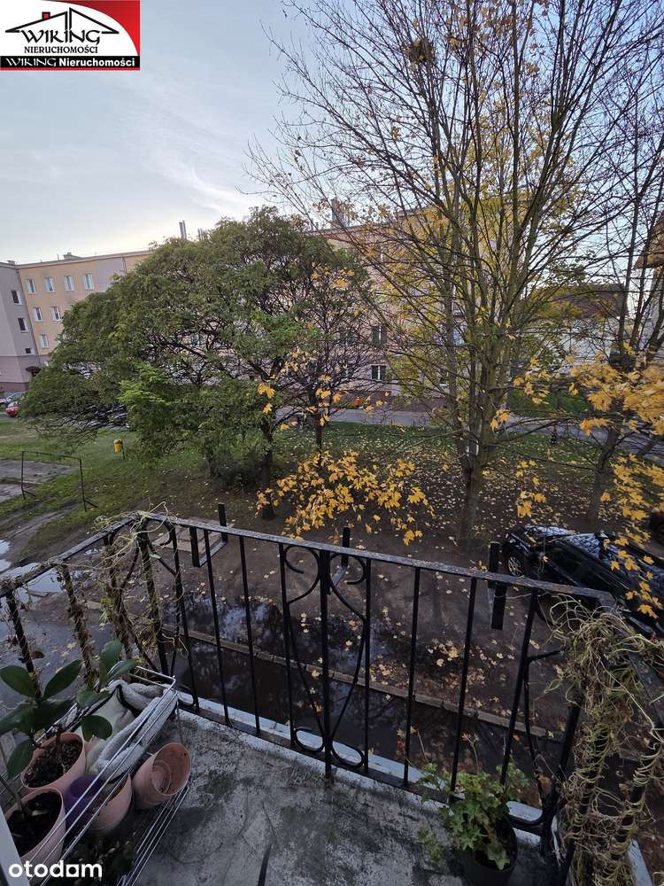 Super Lokalizacja !!!-9