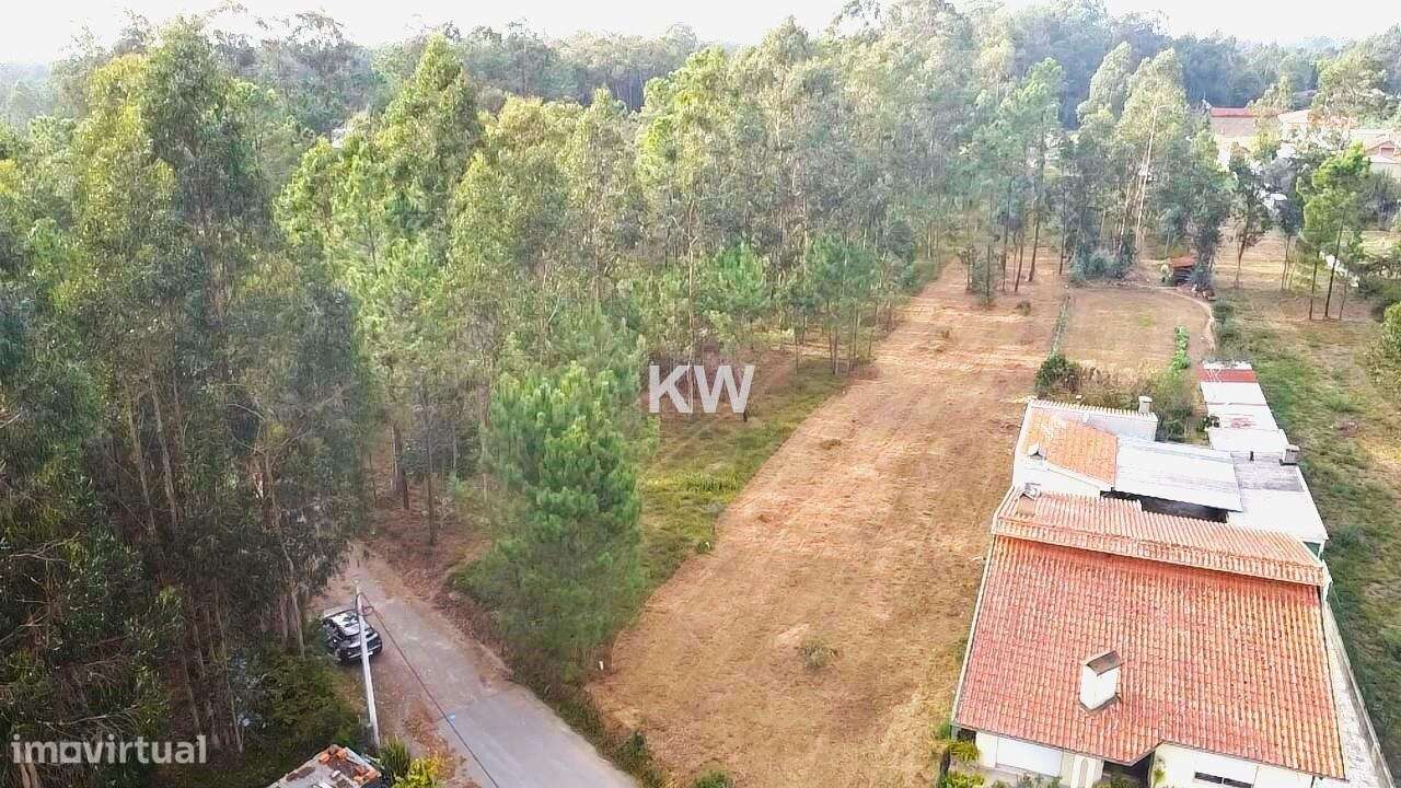 Terreno Plano para Construção em Souto, Santa Maria da Feira - 1977m2 - Grande imagem: 1/15