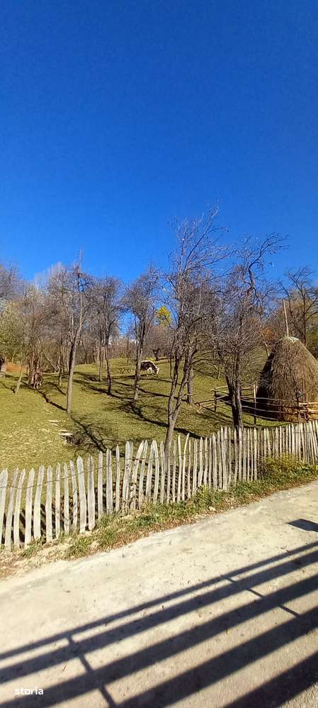 Case de vanzare-case de vacanta, Campina, Plaiul Campinei-14