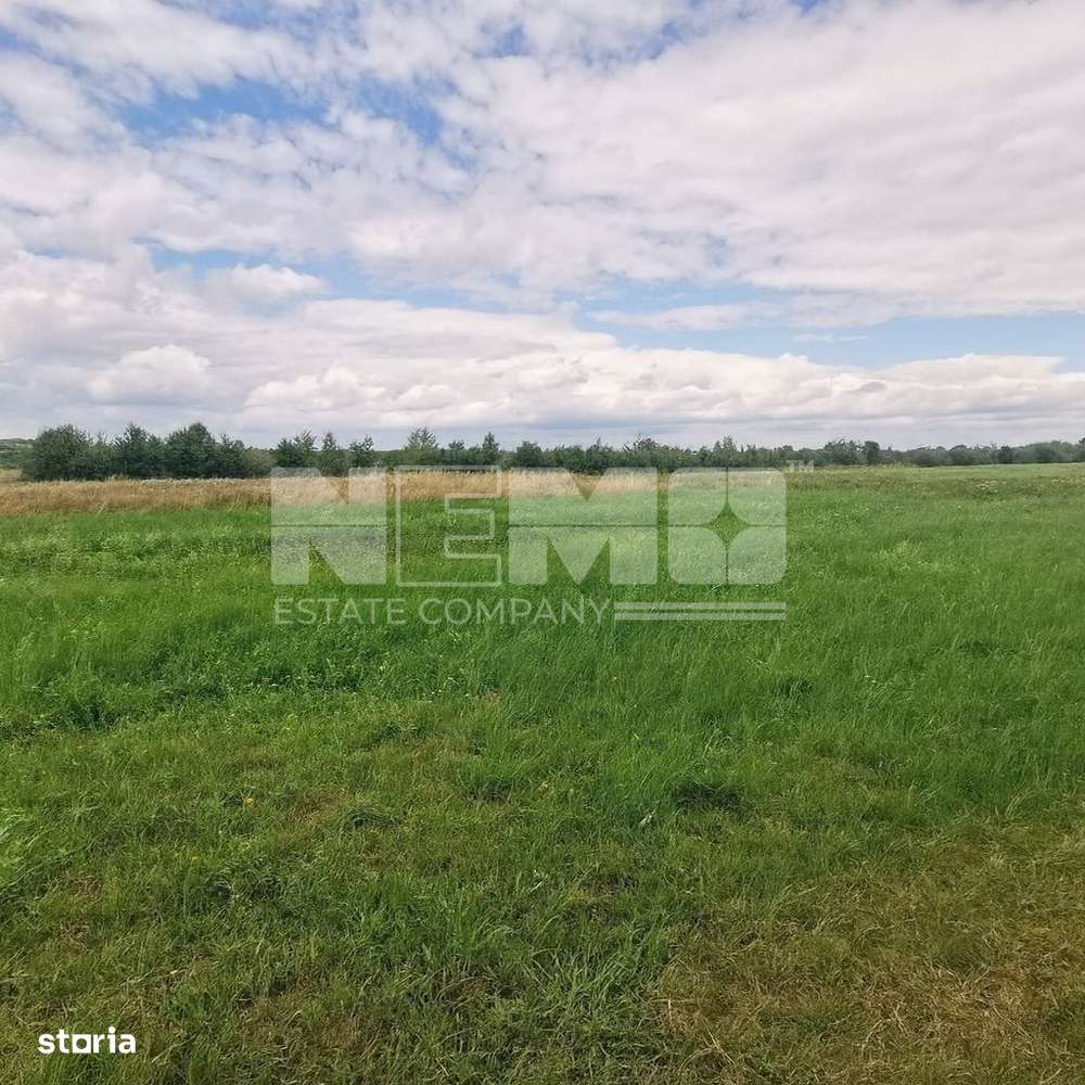 Teren Intravilan | 2.200 mp | Vicovu de Sus - Imagine principală: 4/10