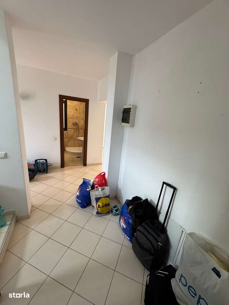 Costinesti Traian Vuia-10