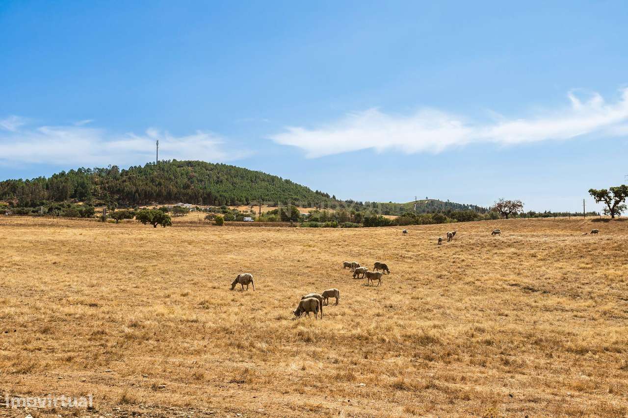 Monte Alentejano com 45 Hectares e Infraestruturas Agrícolas-12