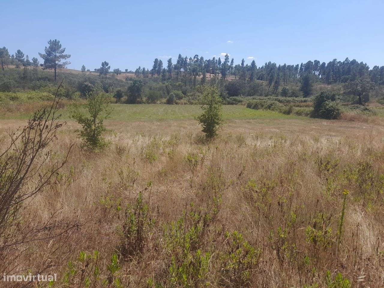 Quintinha - Grande imagem: 5/5