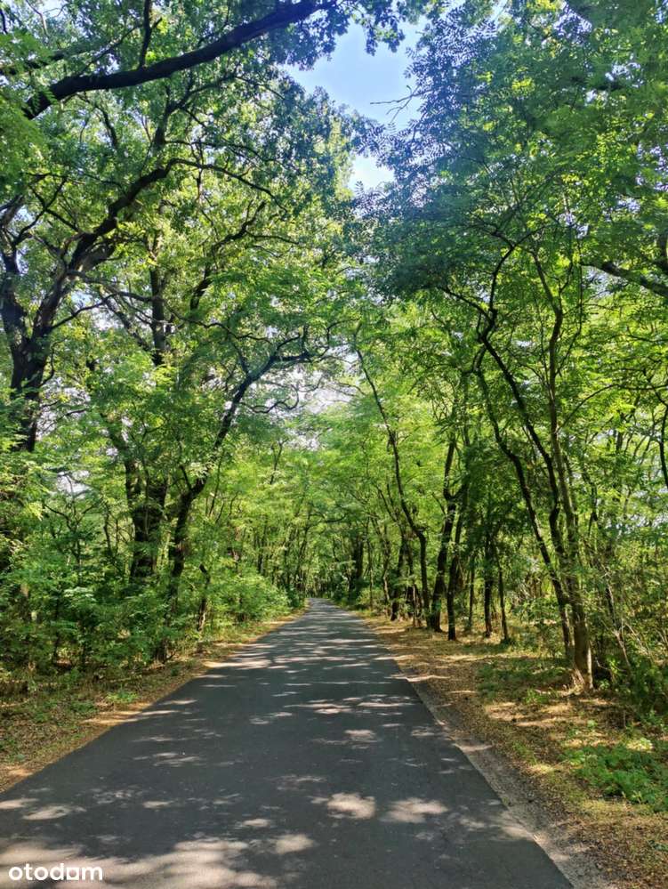 Domy Gorzyca, tylko 15 min od Lubina!-8