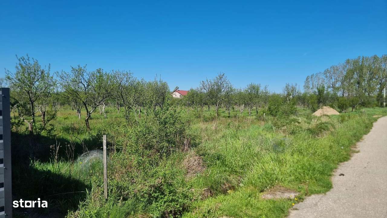 Vand loturi teren intravilan Bascov, Arges - Imagine principală: 5/14