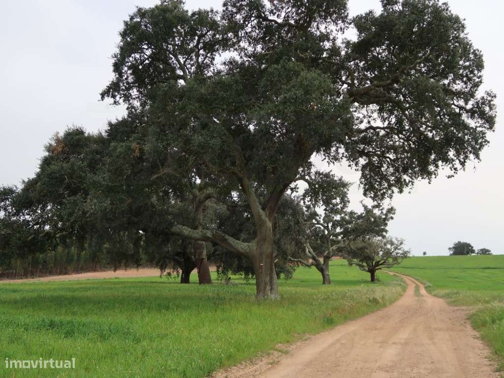 Quinta em excelente localização-35