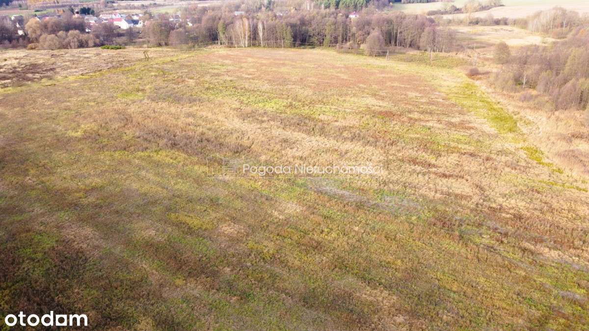 Działki na sprzedaż - Trzebule-17
