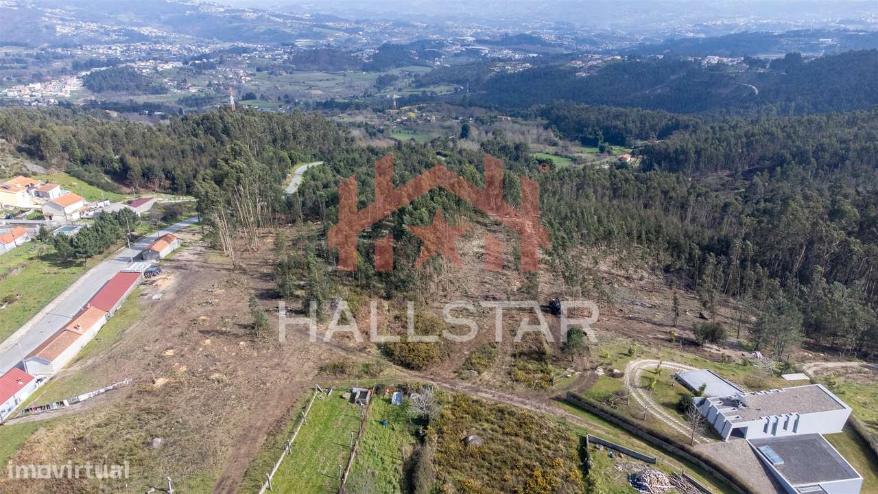 Terreno Florestal / Área Total 2.480m2 / Penafiel - Grande imagem: 2/8