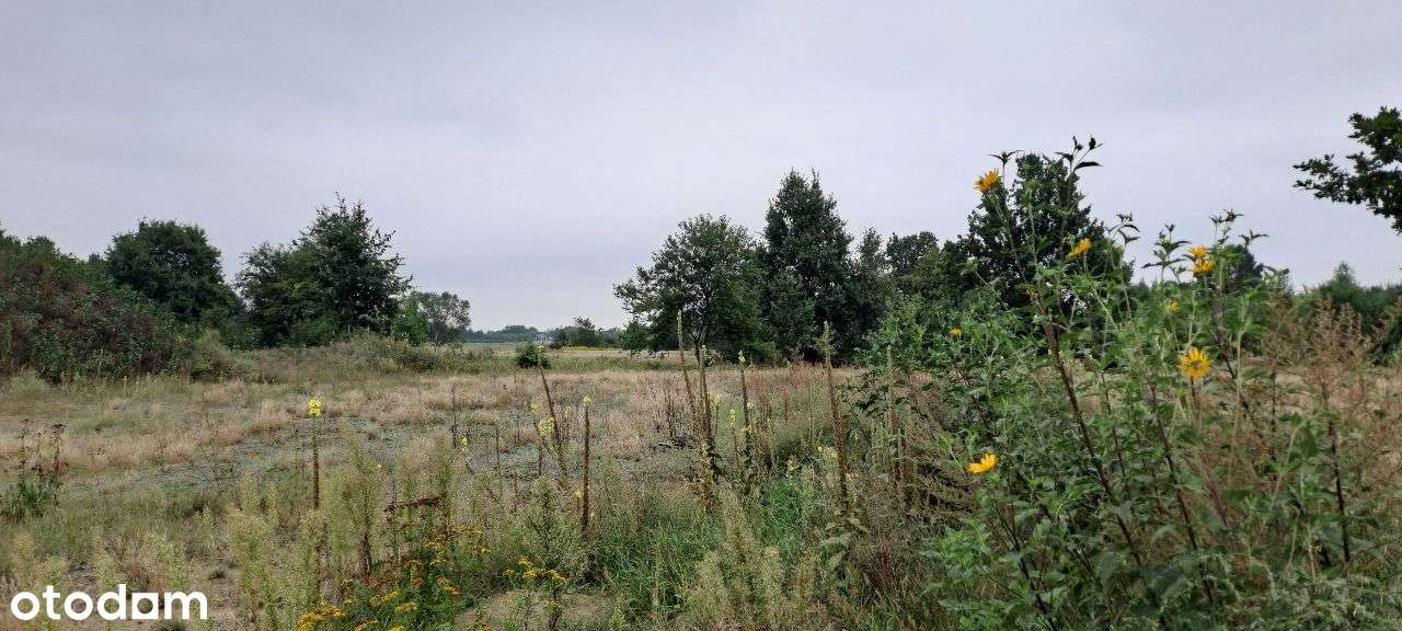 Działka budowlana na sprzedaż Lasowice - Pełny obrazek: 4/7