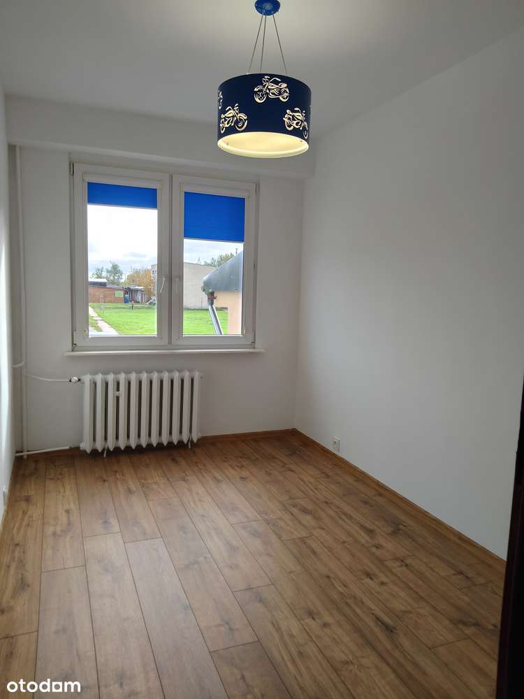 Mieszkanie pod Iławą, działka 5 ar - jeziora - Pełny obrazek: 4/10