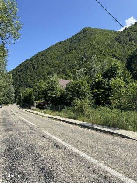 Terena vanzare Comuna Malaia, Strada Peincipala - Imagine principală: 5/7