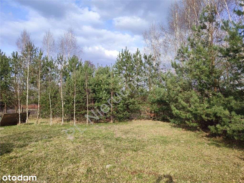 Działka budowlana 1000 m2– Stare Budy | Wz | media