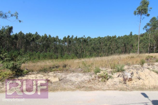 Lote de Terreno com projeto para moradia V4 em Souto da Carpalhosa ...-12