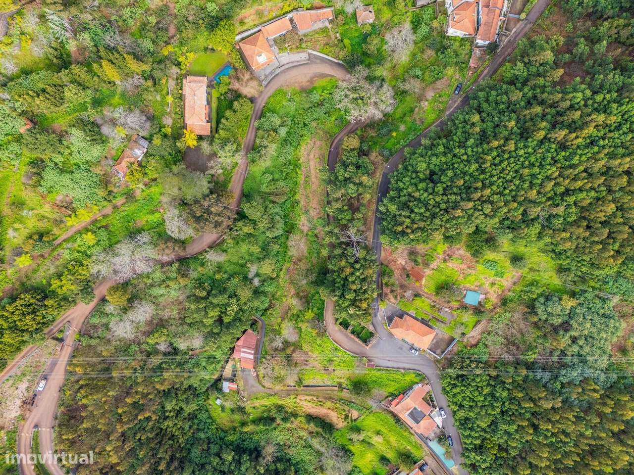 Terreno de 4500m2 na Choupana (Santa Maria Maior) - Grande imagem: 3/18