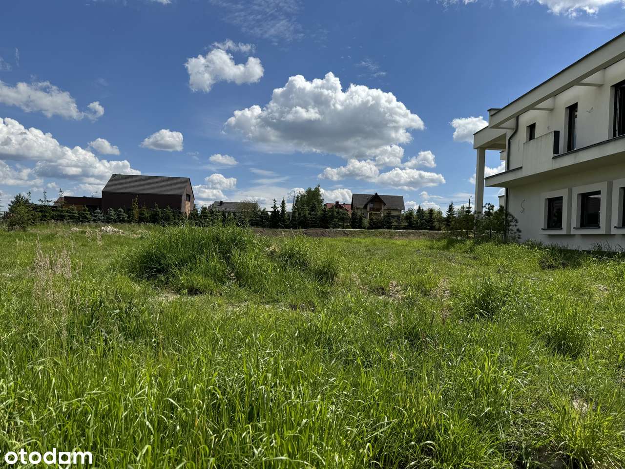 M-CE, MORGI | Idealna działka w znakomitej lokalizacji | Bez prowizji!-3