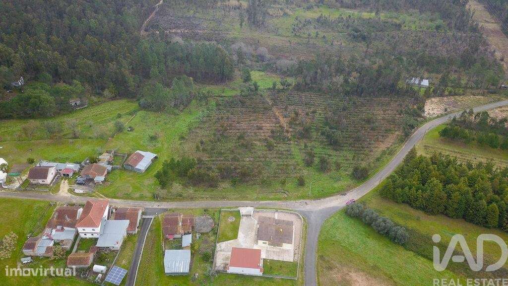 Terreno Agrícola em Soure de 12000,00 m2 - Grande imagem: 4/15