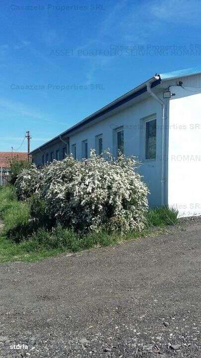 Spatiu industrial, Manoleasa, Botosani - Imagine principală: 1/10