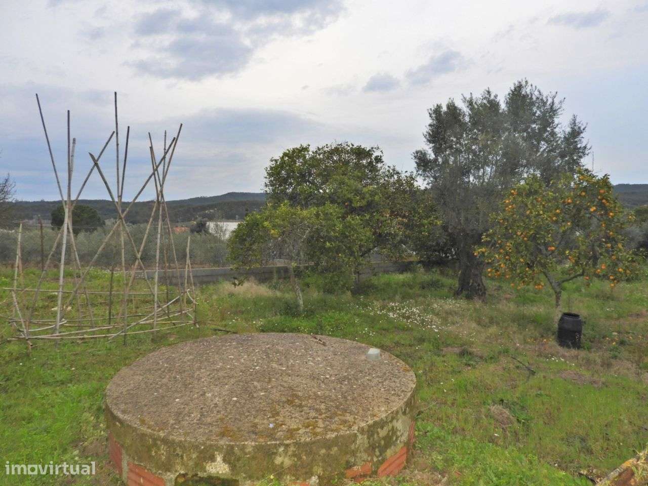 Terreno para Construção - Ulme - Grande imagem: 4/8