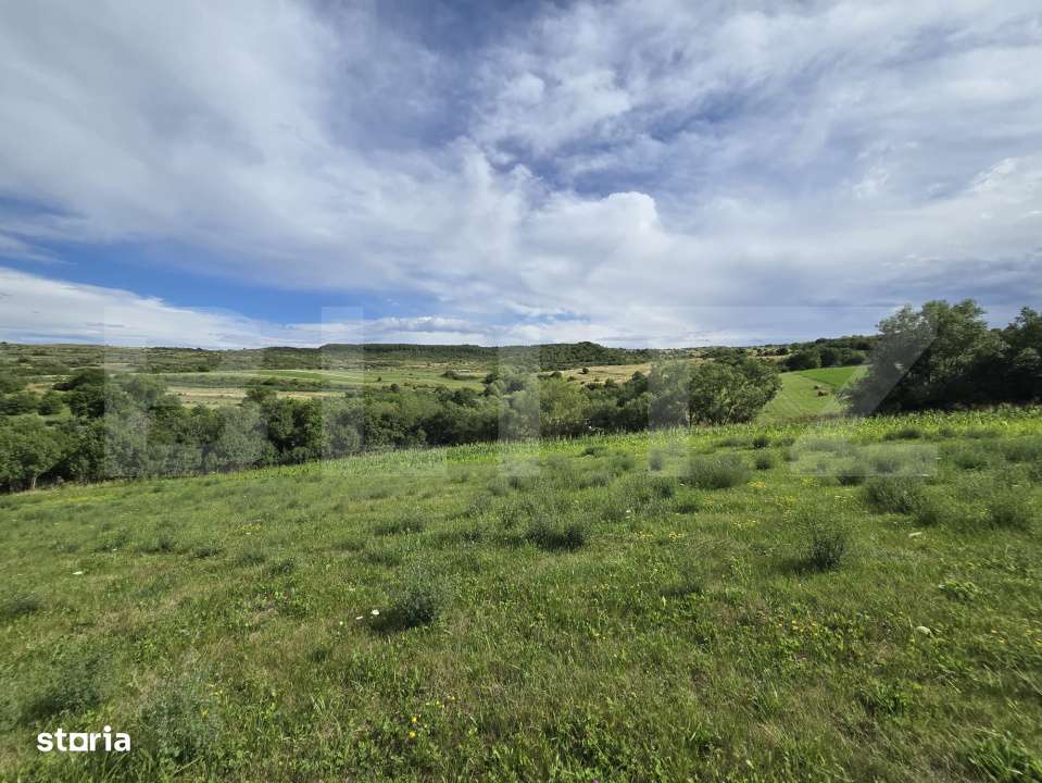 Teren intravilan, construibil in MACICASU , 3 KM de la Chinteni. - Imagine principală: 4/7