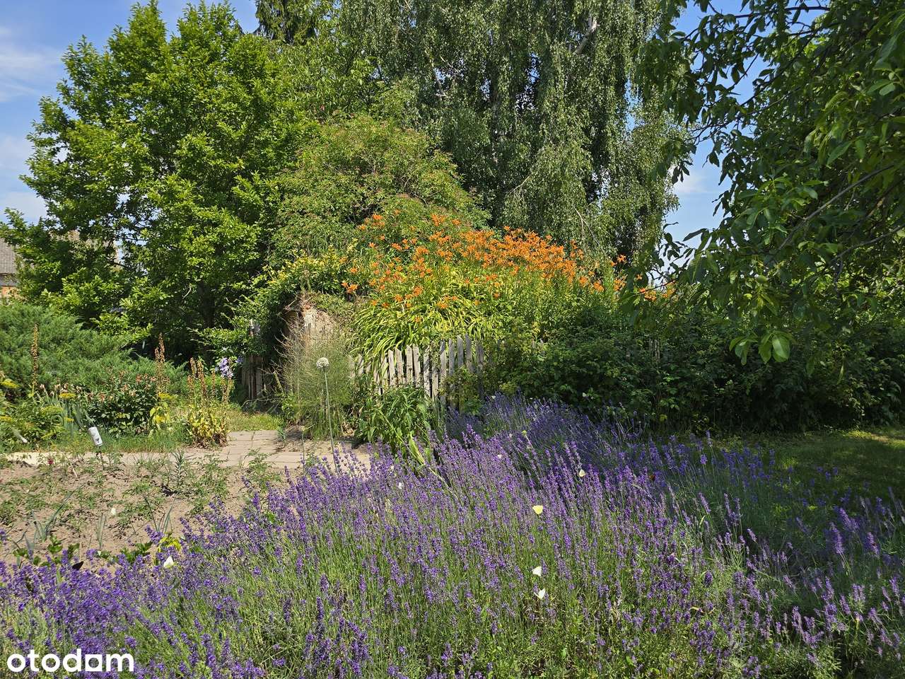 DOM wolnostojący pod Płockiem w Parzeniu-2