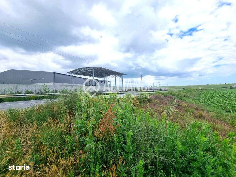 OVIDIU (COD 02)  - teren extravilan 4000 mp - Imagine principală: 4/6