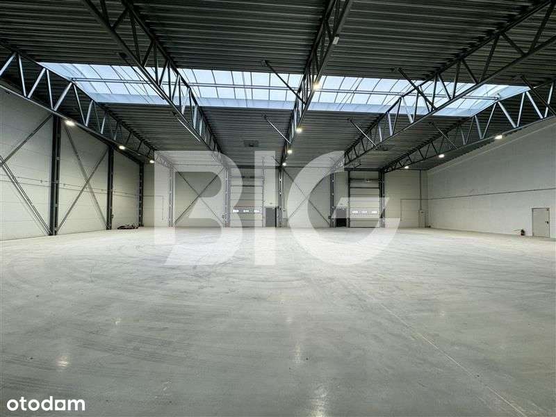 Nowy magazyn. Bdb. pkt komunikacyjny 0% prowizji - Pełny obrazek: 4/8