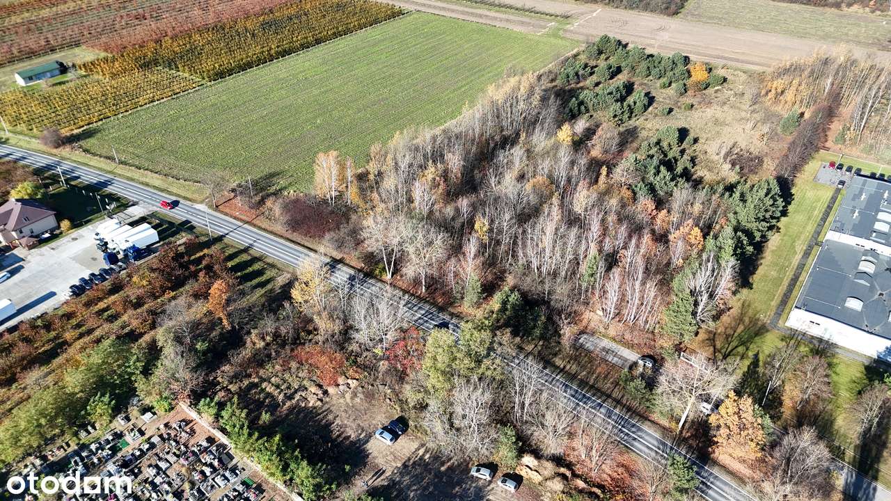 Grunt pod produkcję i usługi na wjeździe do Tarczyna, niecałe 2km odS7-11