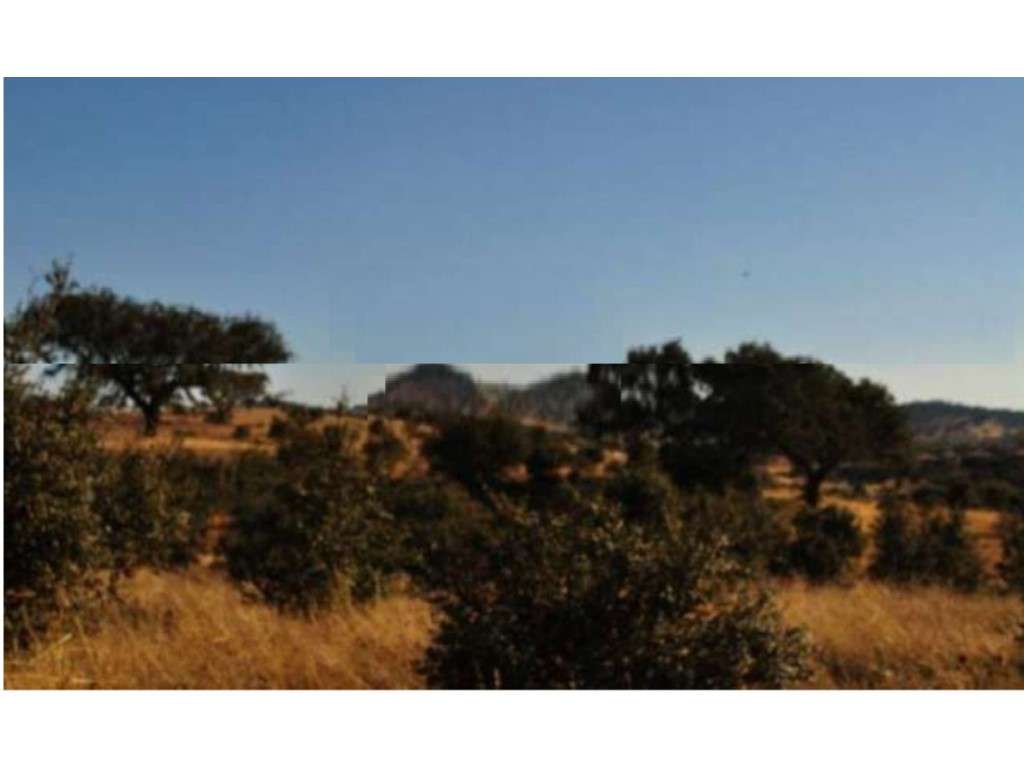 Terreno Rústico com 11 ha, perto de Reguengos de Monsaraz - Grande imagem: 4/8