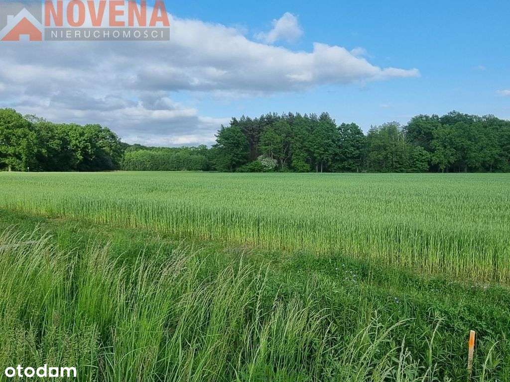 Działka inwestycyjna/Mpzp - Pełny obrazek: 4/9