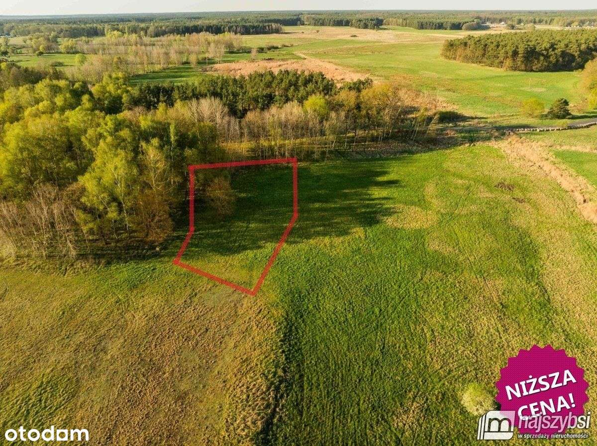 Grzepnica - Działka z wydanymi Wz z potencjałem - Pełny obrazek: 1/20