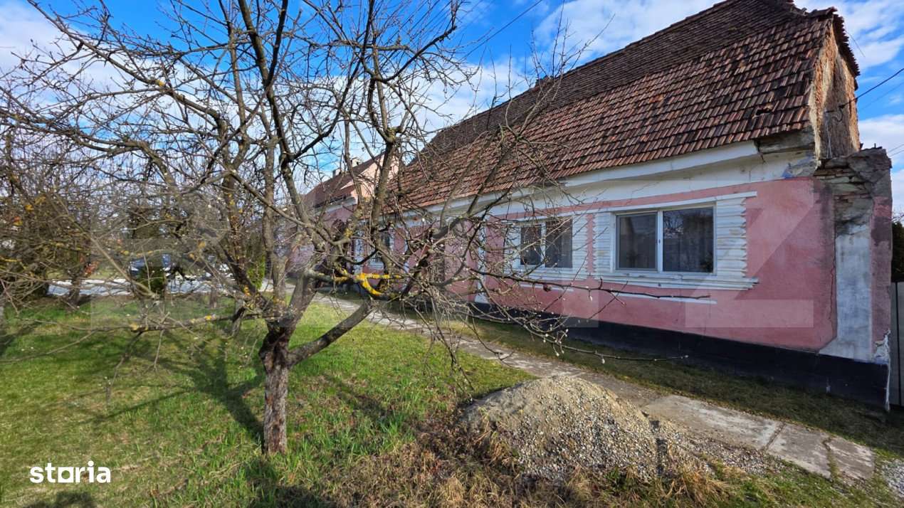 Casa saseasca de vanzare, Livezile - Imagine principală: 2/14