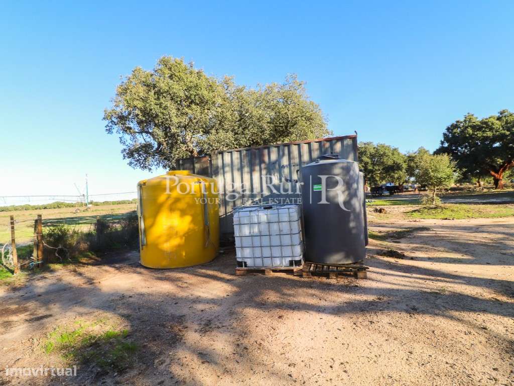Herdade de 60 hectares para criação bovina e equina perto de Lisboa-52