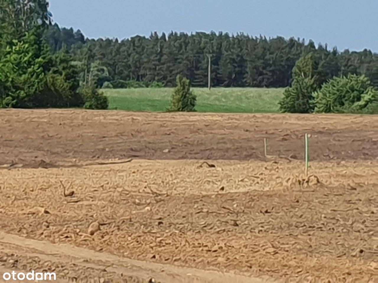 Działka budowlana 1 006 m2, 20 min. od Trójmiasta - Pełny obrazek: 4/14