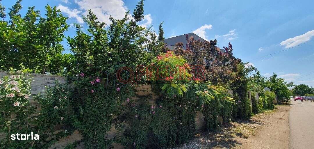 Oferta Noua !! ILFOV - BERCENI - Vila Curte Generoasa - 4 Camere --19