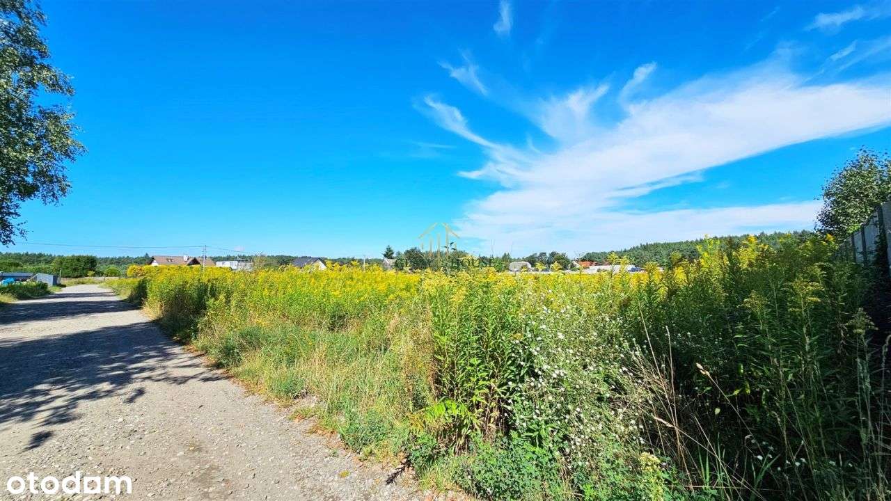 Blisko Lasu Piękna Działka W Wałdowie Królewskim - Pełny obrazek: 4/6