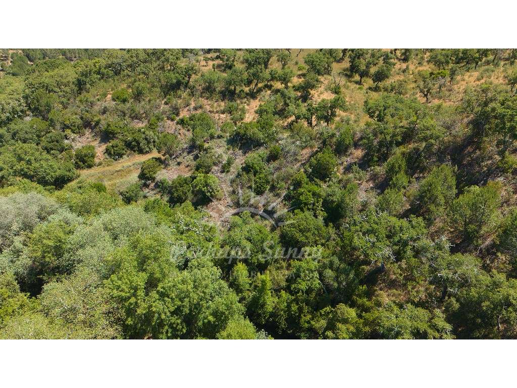 Propriedade Rústica de Montado com Ribeira | 22,6 Hectares | Serra ...-19
