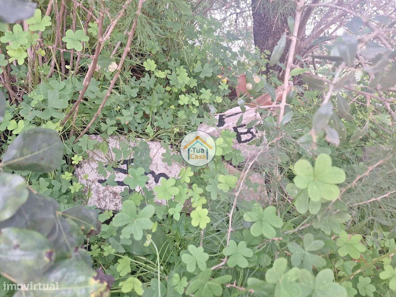 Terreno Rústico - Grande imagem: 5/13