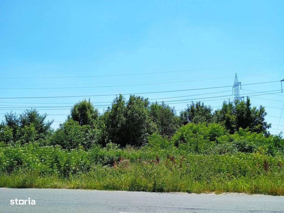 TEREN INTRAVILAN 8300 MP SECTOR 3 ZONA NICOLAE TECLU CEL MAI MIC PRET - Imagine principală: 4/6