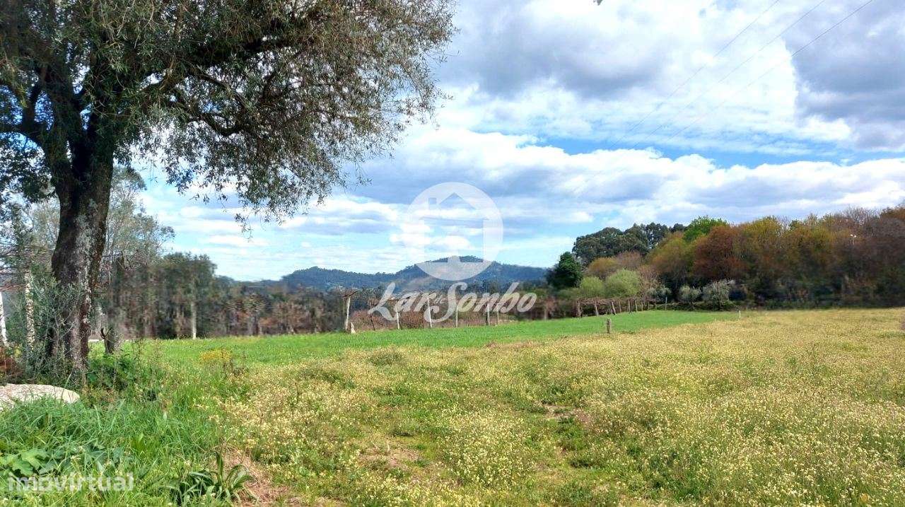 Moradia Independente-30