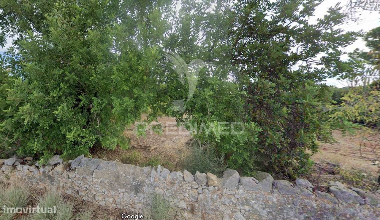 Terreno Rustico no Farrobo São Brás de Alportel - Grande imagem: 5/10