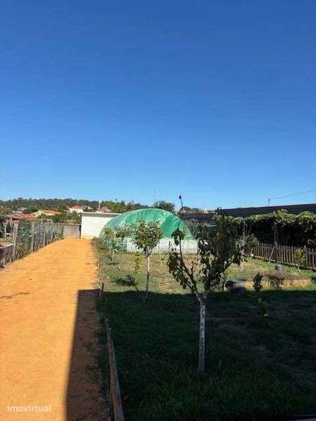 Lote Urbano Maia - Grande imagem: 4/4