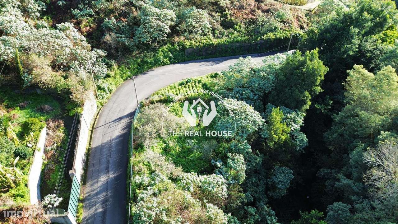 Terreno Rústico em Santo António da Serra-4