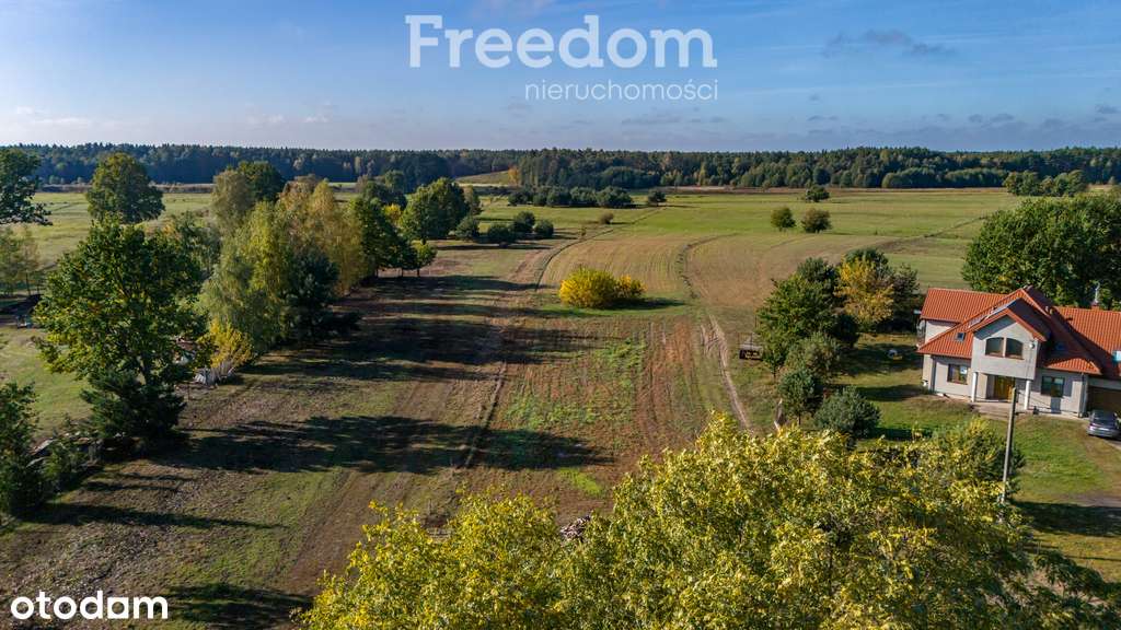 Okazja działki budowlane blisko Warszawy - Pełny obrazek: 5/20