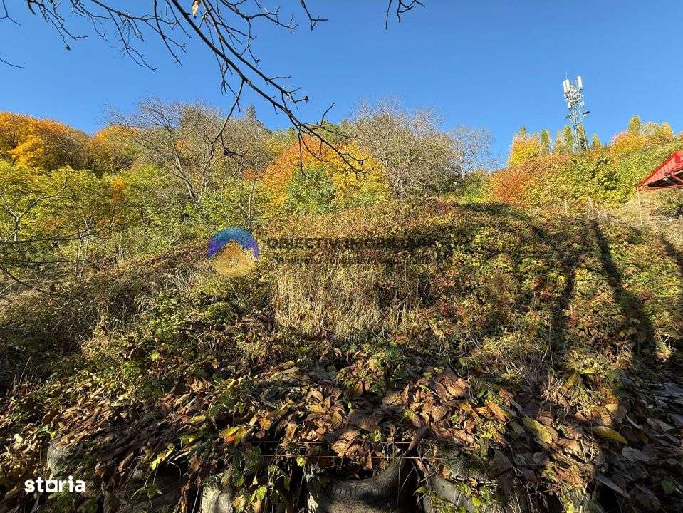 Teren intravilan 1543 mp – zona Darmanesti-2