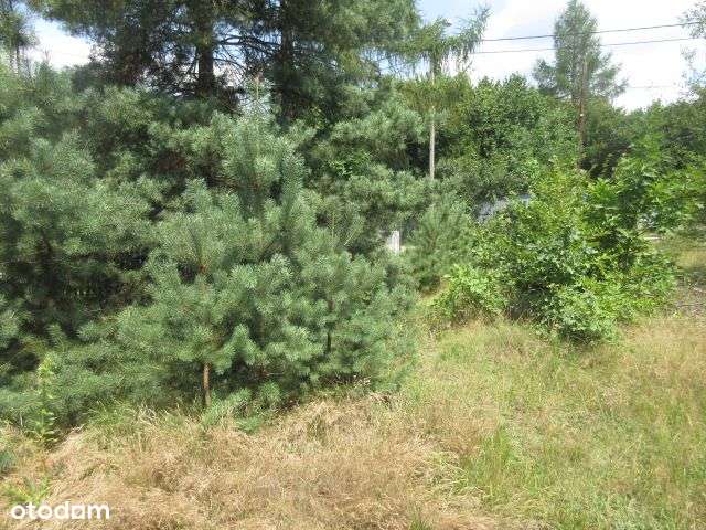 Działka budowlana bezpośrednio! - Pełny obrazek: 5/9