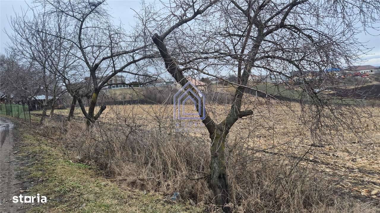 Teren Moara Nica - zona Scolii-2